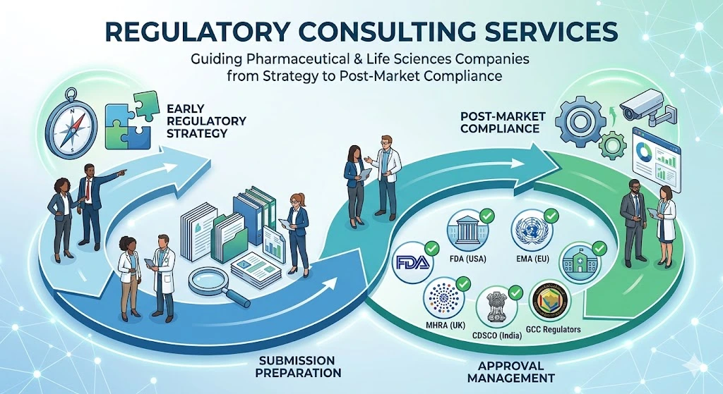 Regulatory consulting specialist reviewing pharmaceutical compliance documentation
