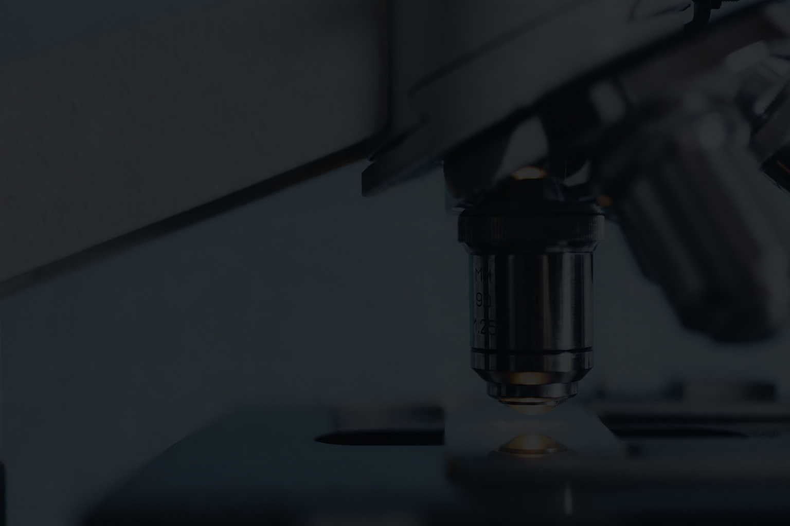 About Us — professional team