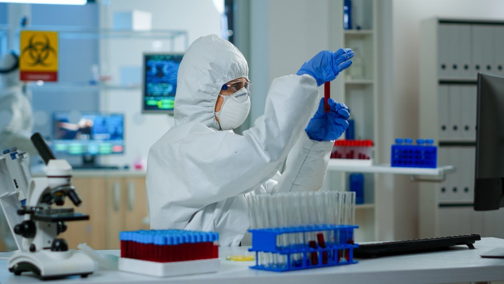 Toxicology Regulatory Services — professional team